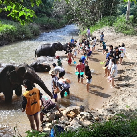 chiang mai (45)