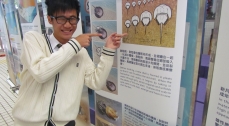 Juvenile Horseshoe Crab Rearing Programme