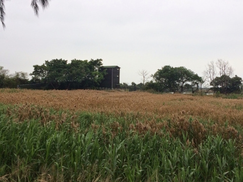 11-已編輯