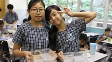World Food Day