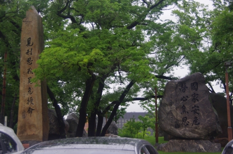 IMGP3512