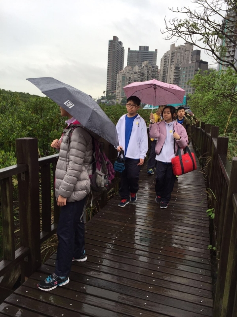 IMG-20160129-WA0057(1)