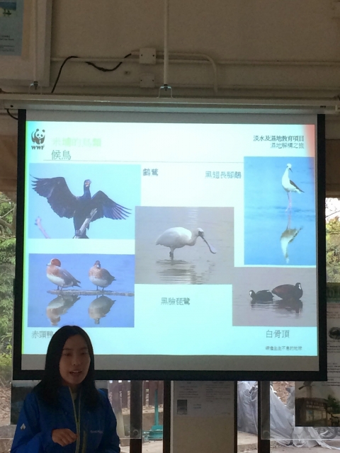5-已編輯