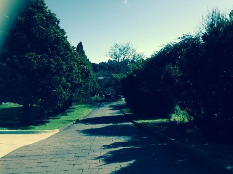 IMG-20150721-WA0016