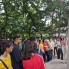 Korea (12)