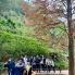 kadoorie (5)