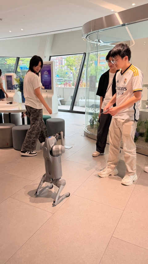 Seoul (5)
