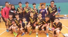 Inter-School Boys Badminton Competition