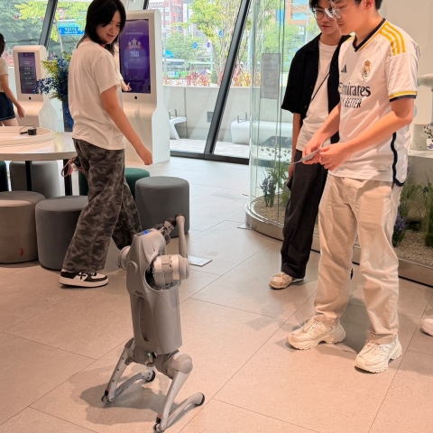 Seoul (5)