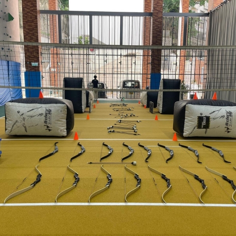 Discipline Activities