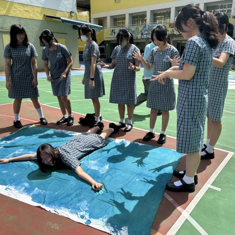 Post Exam Activities