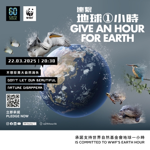 Go Green Program on Pollution Reduction