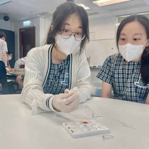 9ba919be-ebf3-4212-87e2-439646418cef