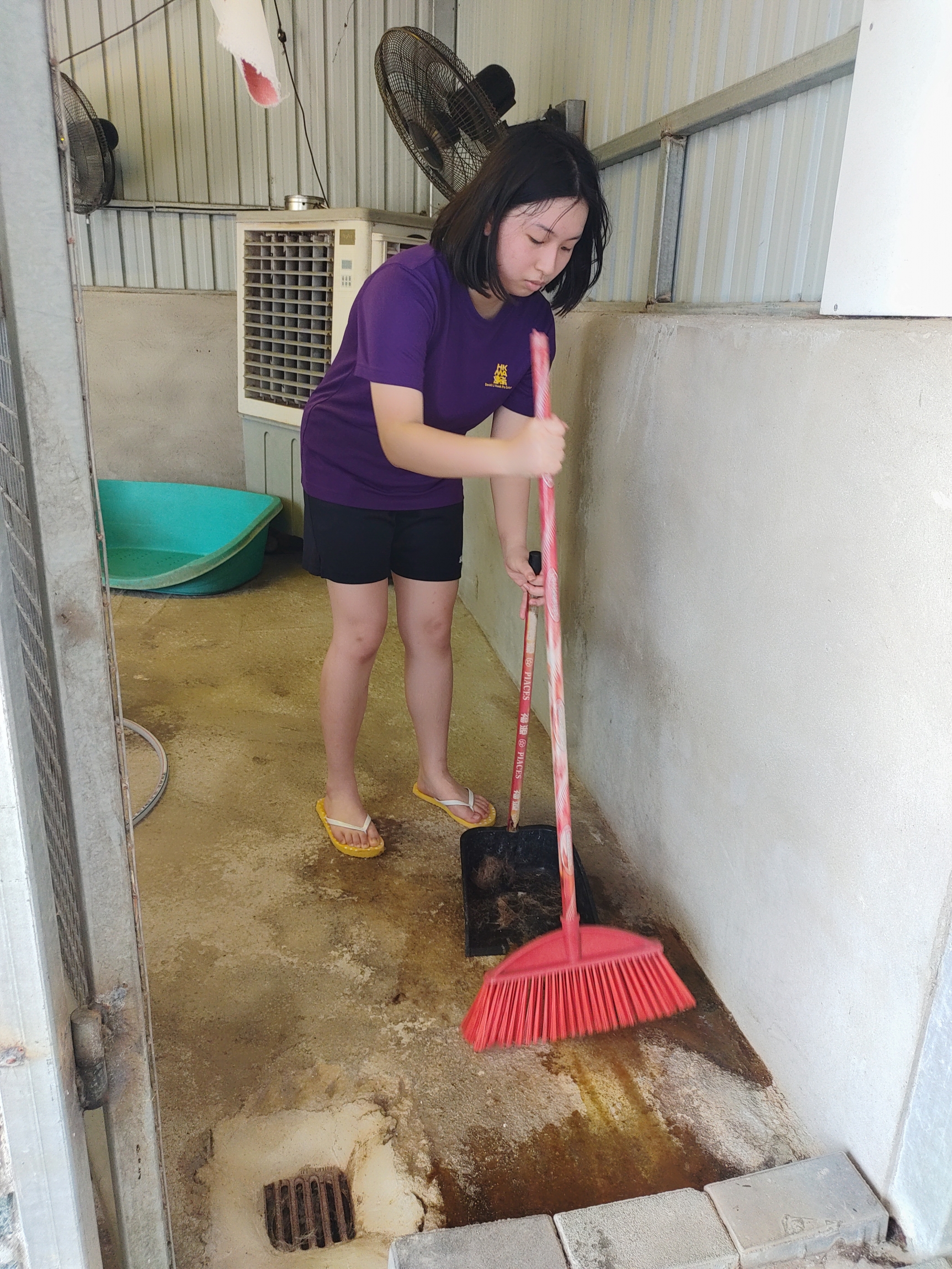 Self Photos / Files - Dog Shelter Cleaning1